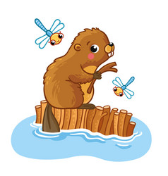 Cute Beaver Sits On A Dam With Stick Beautiful