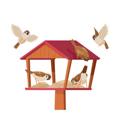 Sparrows In Birdhouse Chirp Birds Characters