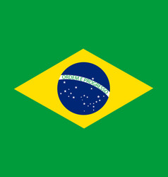 Brazil Flag Official Brasil Icon National Symbol