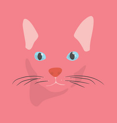 Photo Cat Face Straight On Pink Background