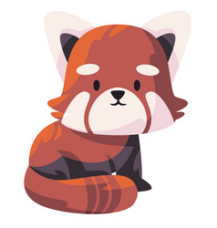 Red Panda Cute Adorable Face Looking Like Fox