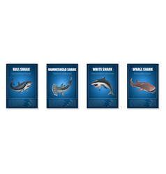 Shark Poster Set