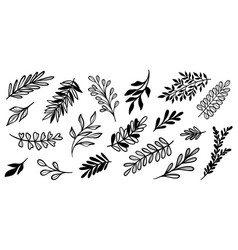 Leaf Set Plant Clip Art Hand Drawn Line Art