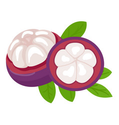 Flower Mangosteen Icon Cartoon Garcinia