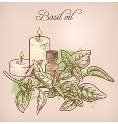 Basil Essential Oil And Candles