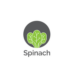 Spinach Logo