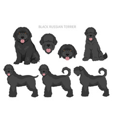 Black Russian Terrier Clipart Different Coat