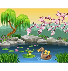 Cartoon ducks on the pond isolated Royalty Free Vector Image