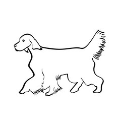 English Setter Silhouette Real In Black