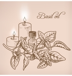 Basil Essential Oil And Candles