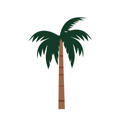 Palm Tree In Flat Cartoon