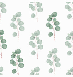 Watercolor Green Silver Eucalyptus Foliage