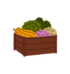 Wooden Crate Full Of Fresh Farm Vegetables