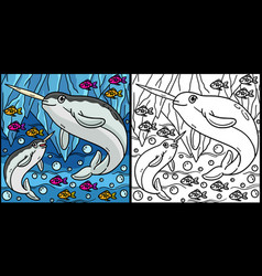 Narwhal Coloring Page Colored