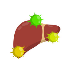 Bad Liver Attack Germs And Cirrhosis