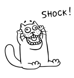 Thick Funny Cat In Shock