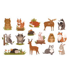 Cute Forest Animals Dear And Fox Raccoon