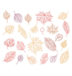 Set Of Hand Drawn Fall Leaves Black