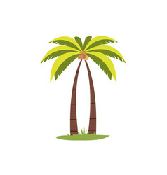 Coconut Palm Tree Flat Icon