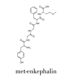 Met-enkephalin Endogenous Opioid Peptide Molecule