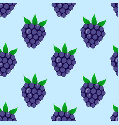 Blackberry Pattern