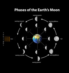 Diagram Showing Phases Moon On Earth