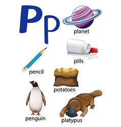 Things That Start With The Letter P