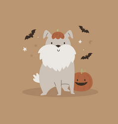 Halloween With Funny Dog Pumpkin And Bats