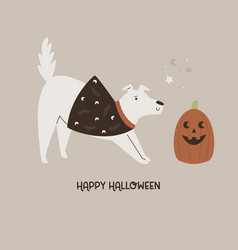 Halloween With Funny Dog And Pumpkin