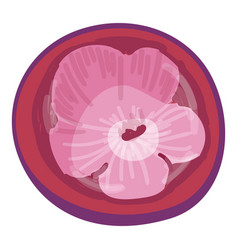 Mangosten Flower Icon Cartoon Mangosteen