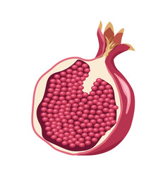 Pomegranate Fruit Half