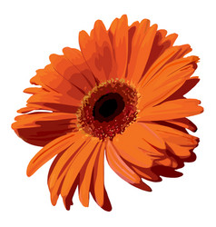 Orange Gerbera Blossom Flower Plant Realistic