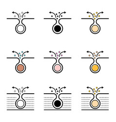 Set Of Cleaning Pore Icon Blackhead Dermatology