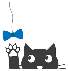 Black Cat And Blue Bow Tie