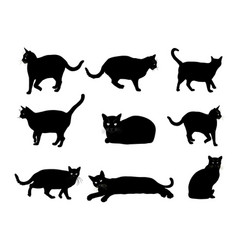 Group Of Many Black Cats Silhouette