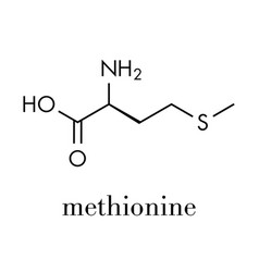 Methionine L-methionine Met M Amino Acid Molecule