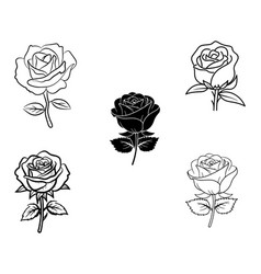 Set Rose Flower Hand Drawn