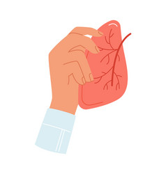 Hand Holding Lung Organ