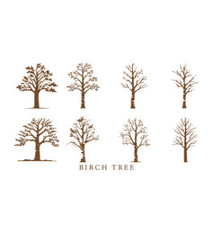 Birch Tree Foliage Elements