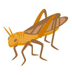 Insect Ant Icon Isometric Grasshopper Bug