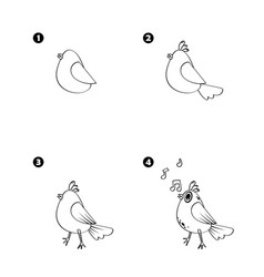 Four Steps To Draw Cartoon Nightingale Isolated