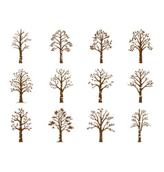 Enchanting Birch Tree Design