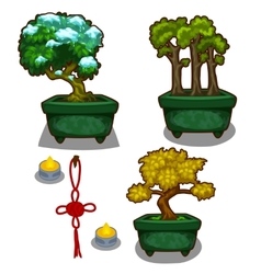 Three Little Tree Bonsai Candles And Decoration