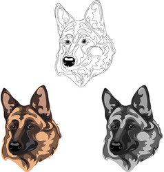 German Shepherd Dog Portrait Color