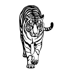 Walking Tiger In Drawing Stencil