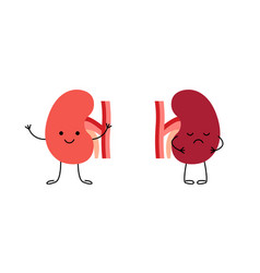 Healthy Happy Kidney And Sad Unhealthy Sick Pain