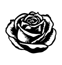 Rose In Drawing Stencil Style