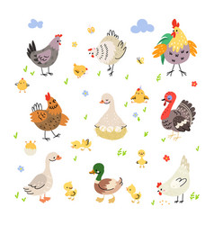 Farm Birds Cartoon Set Duck On Nest Turkey And