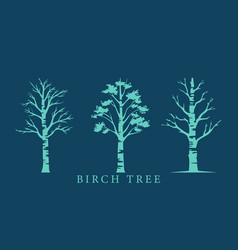 Birch Tree Nature Elements