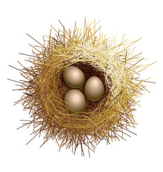 Birds Nest With Eggs Top View